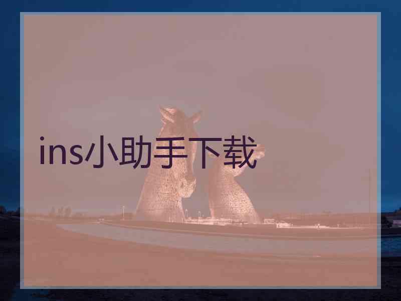 ins小助手下载