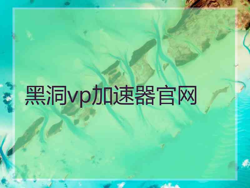 黑洞vp加速器官网