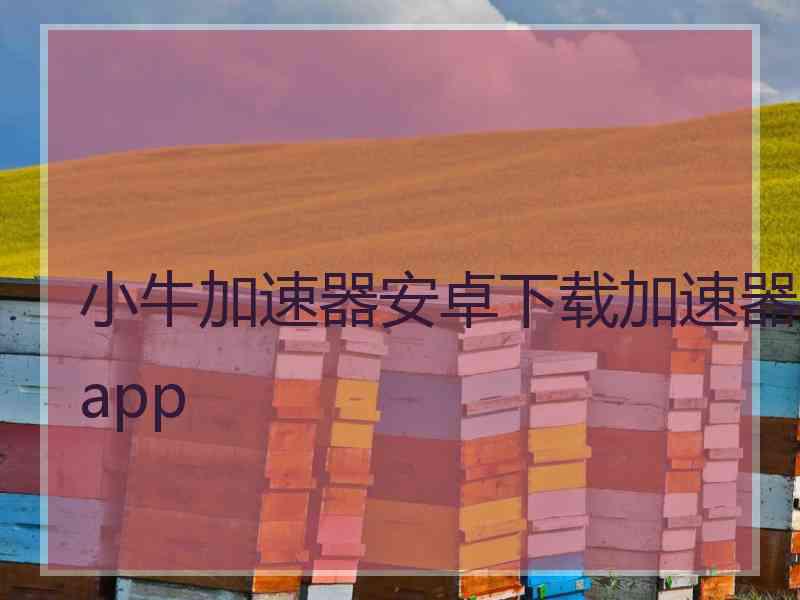 小牛加速器安卓下载加速器app