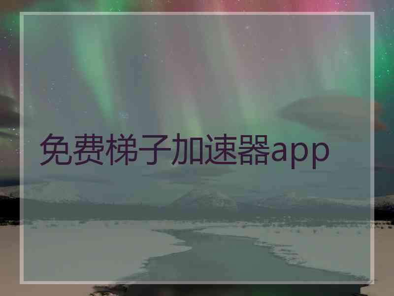 免费梯子加速器app