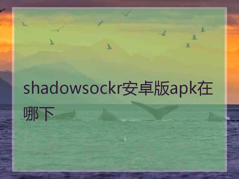 shadowsockr安卓版apk在哪下