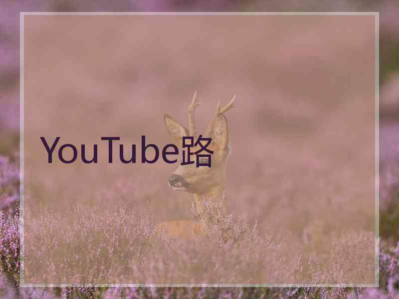 YouTube路