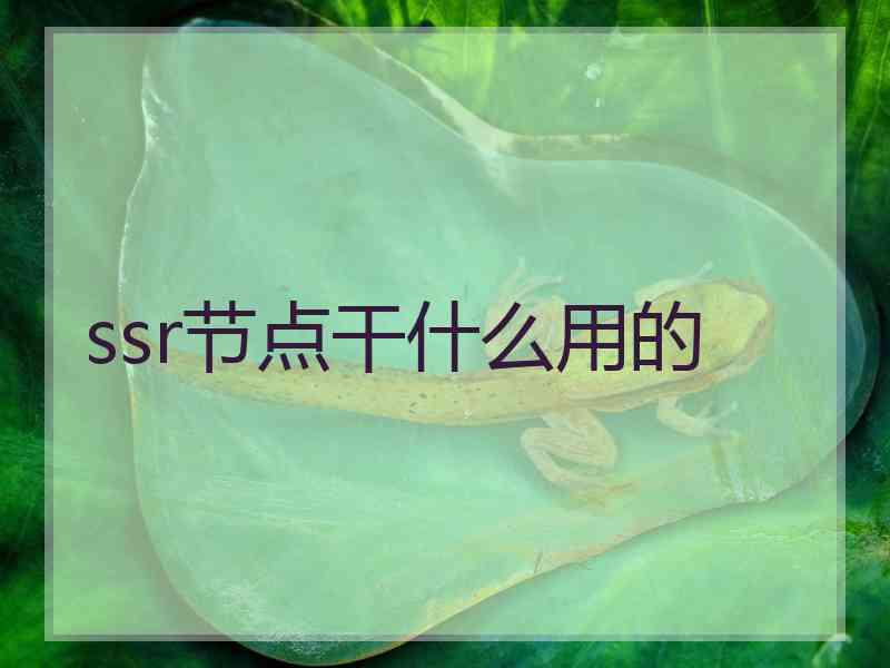 ssr节点干什么用的