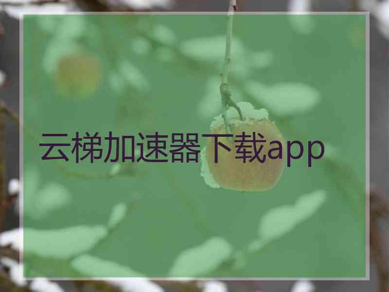 云梯加速器下载app