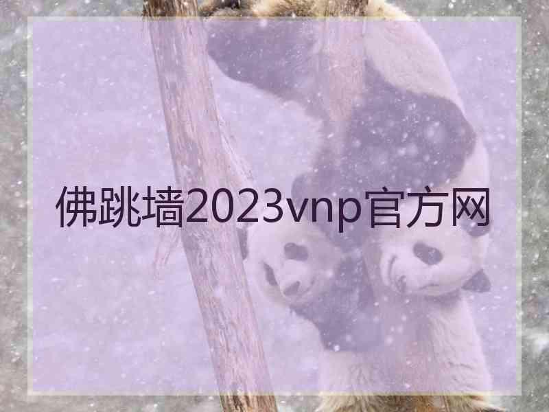 佛跳墙2023vnp官方网