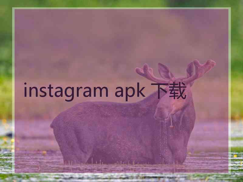 instagram apk 下载