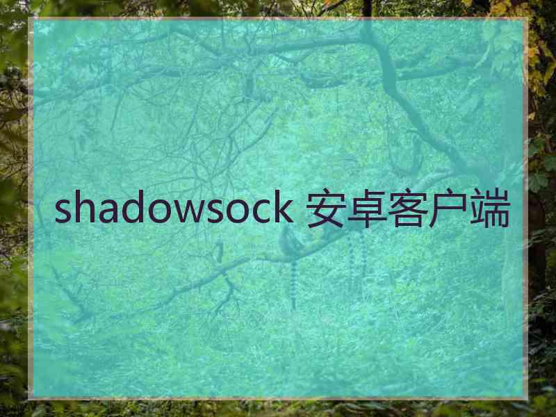 shadowsock 安卓客户端