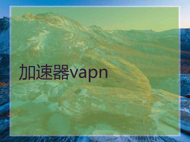 加速器vapn