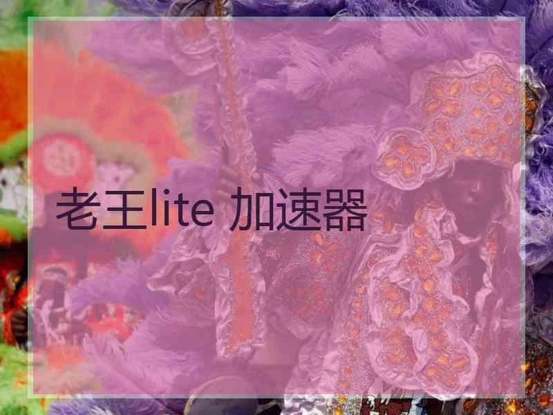 老王lite 加速器