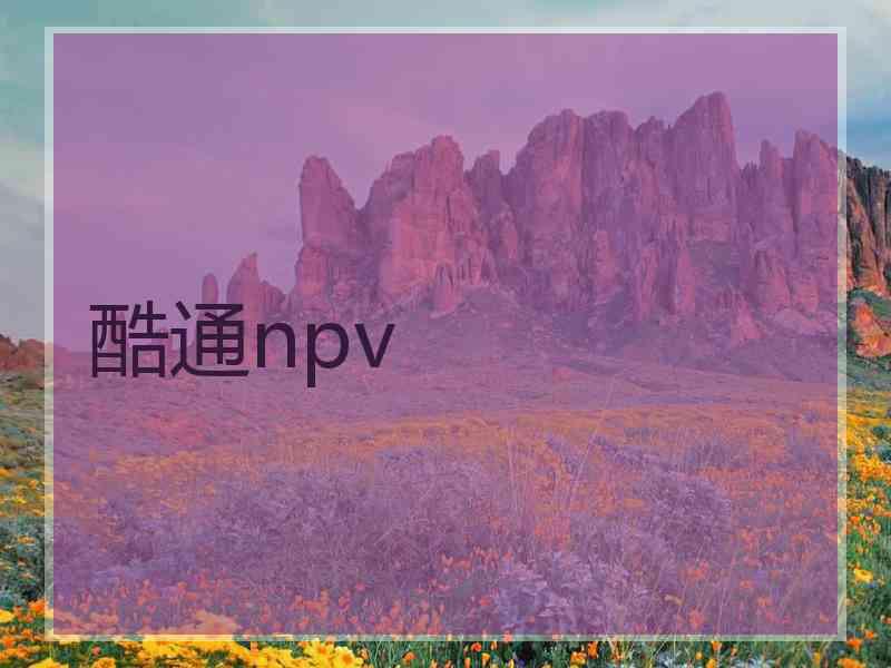 酷通npv