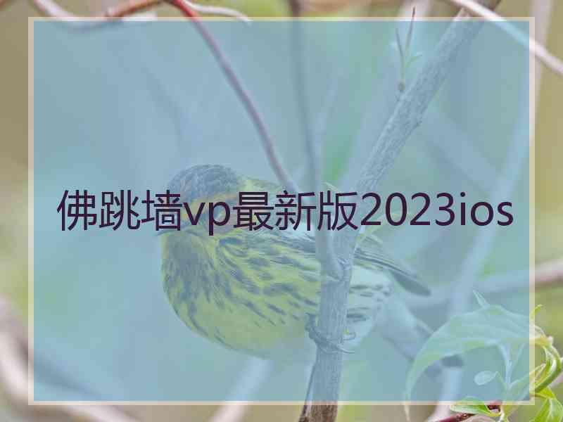 佛跳墙vp最新版2023ios