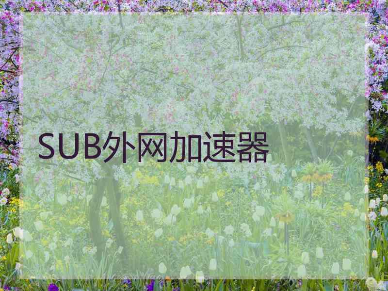 SUB外网加速器