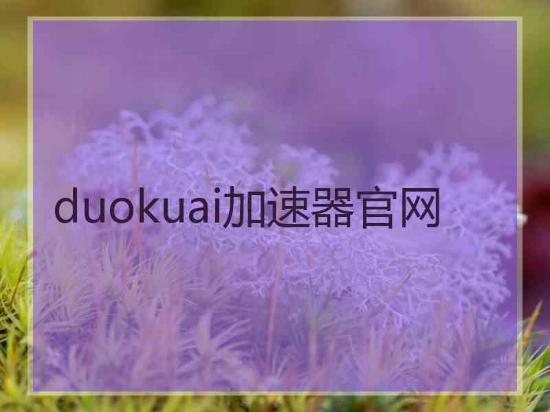 duokuai加速器官网