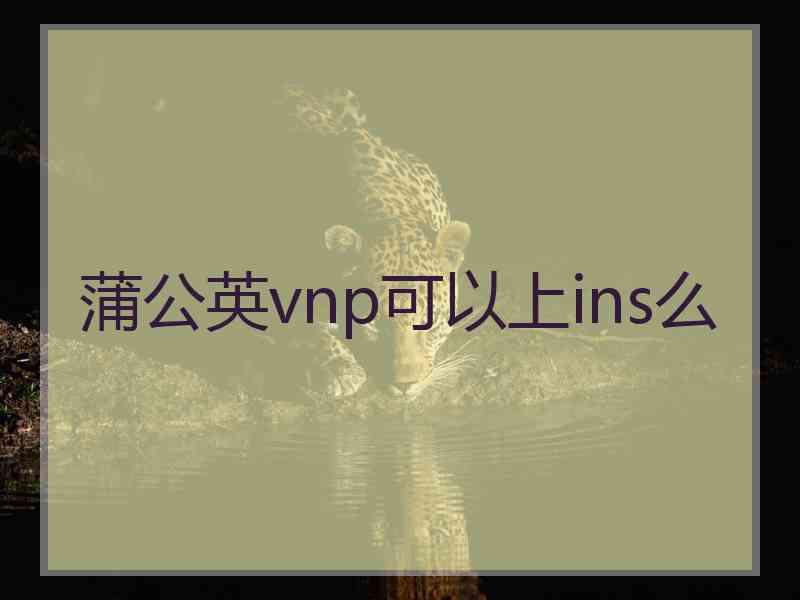 蒲公英vnp可以上ins么