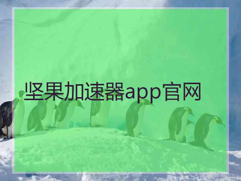 坚果加速器app官网