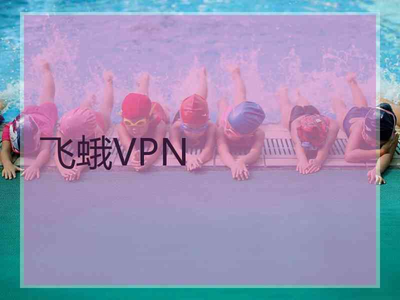 飞蛾VPN