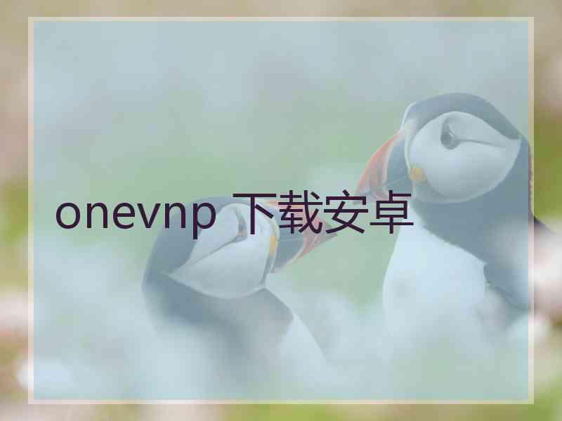 onevnp 下载安卓