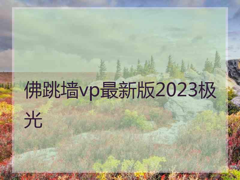 佛跳墙vp最新版2023极光