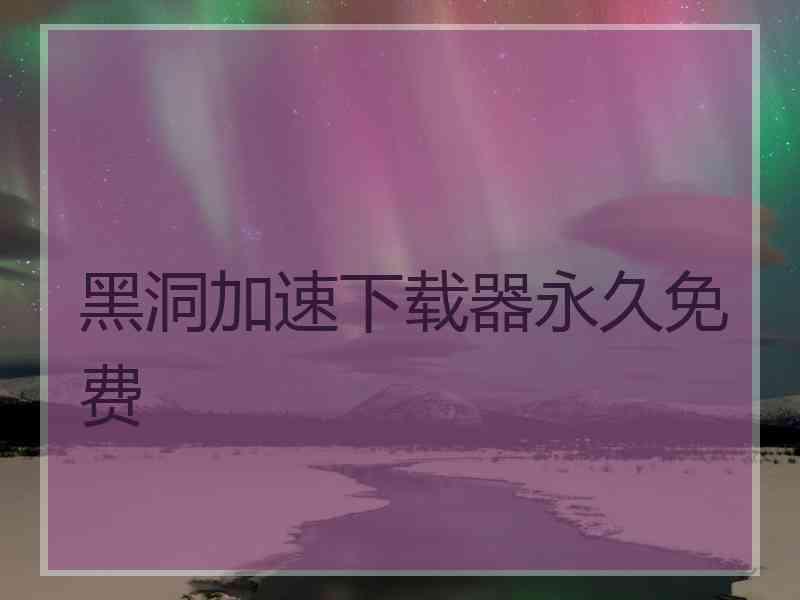 黑洞加速下载器永久免费