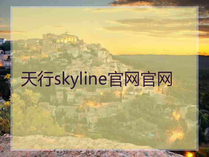 天行skyline官网官网