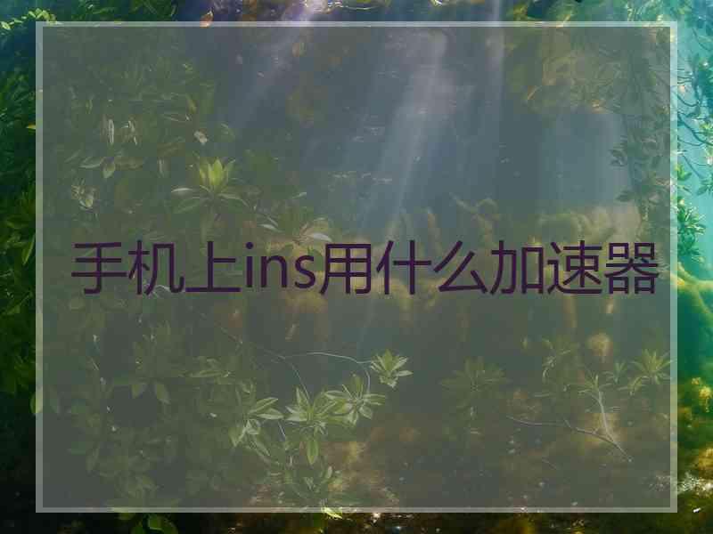 手机上ins用什么加速器