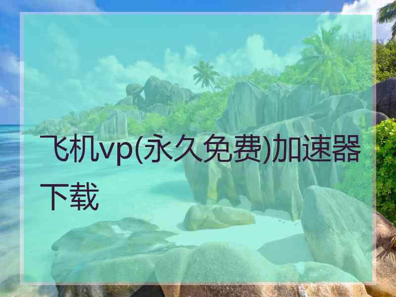 飞机vp(永久免费)加速器下载