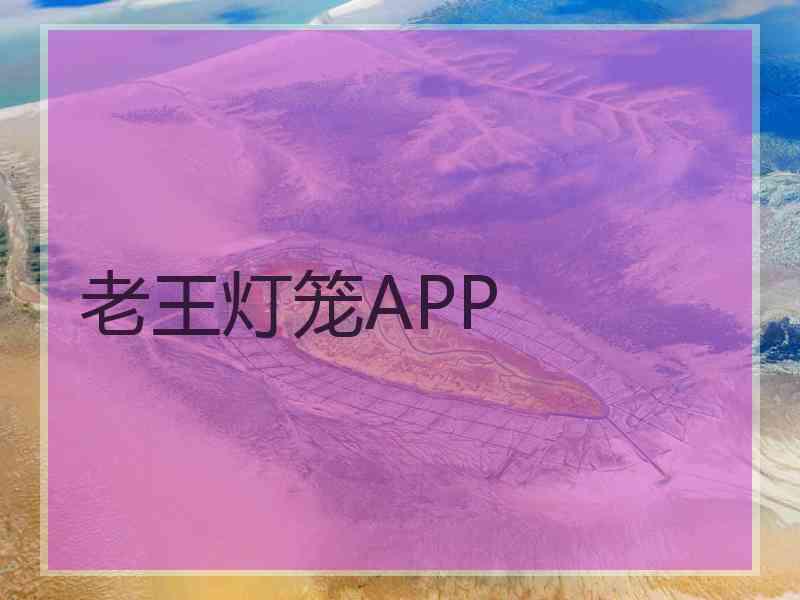 老王灯笼APP