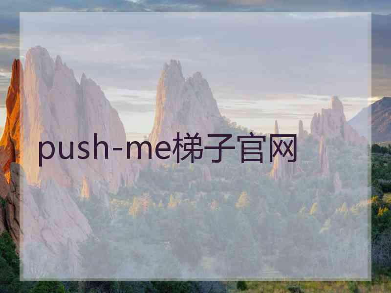 push-me梯子官网