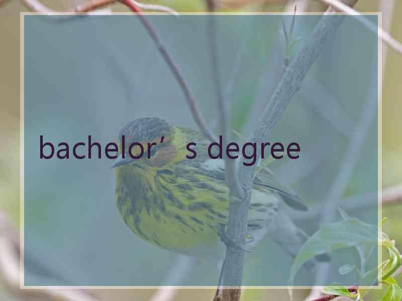 bachelor’s degree