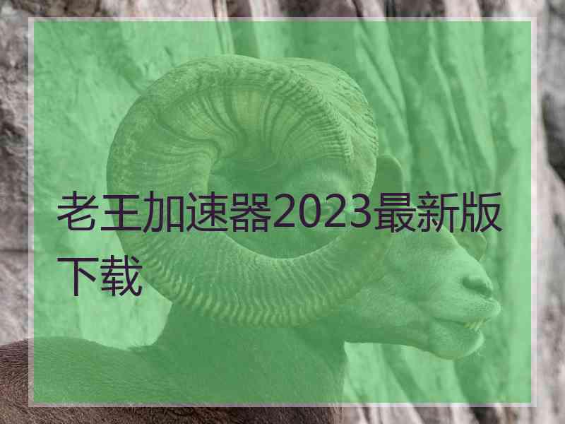 老王加速器2023最新版下载