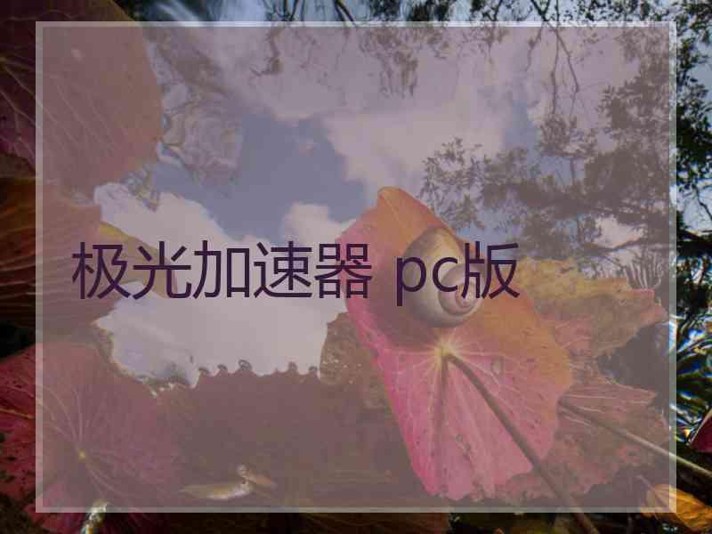 极光加速器 pc版