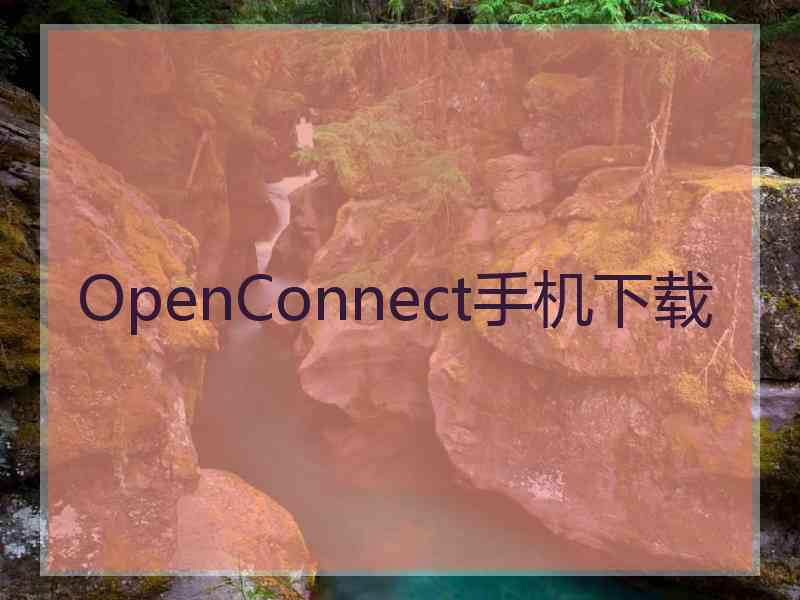 OpenConnect手机下载