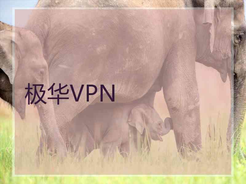 极华VPN