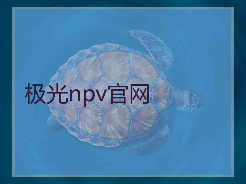 极光npv官网