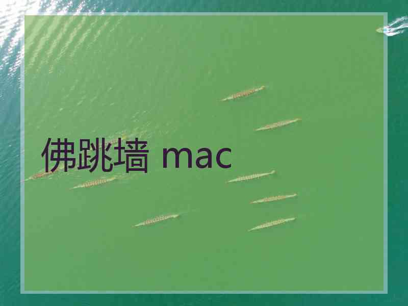 佛跳墙 mac