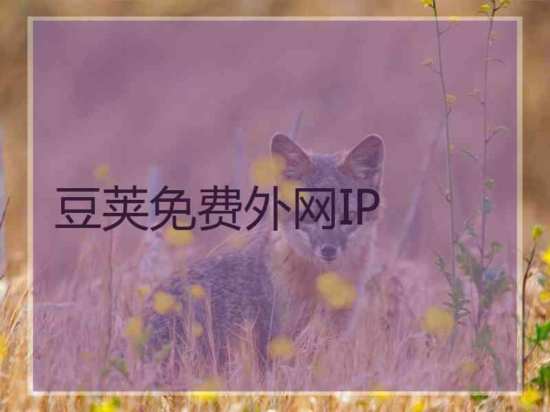 豆荚免费外网IP