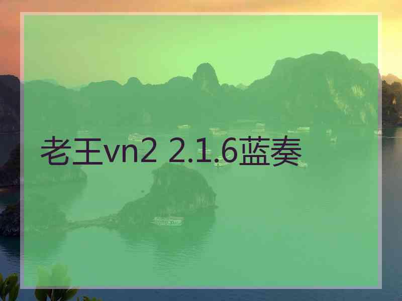 老王vn2 2.1.6蓝奏