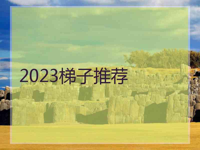 2023梯子推荐