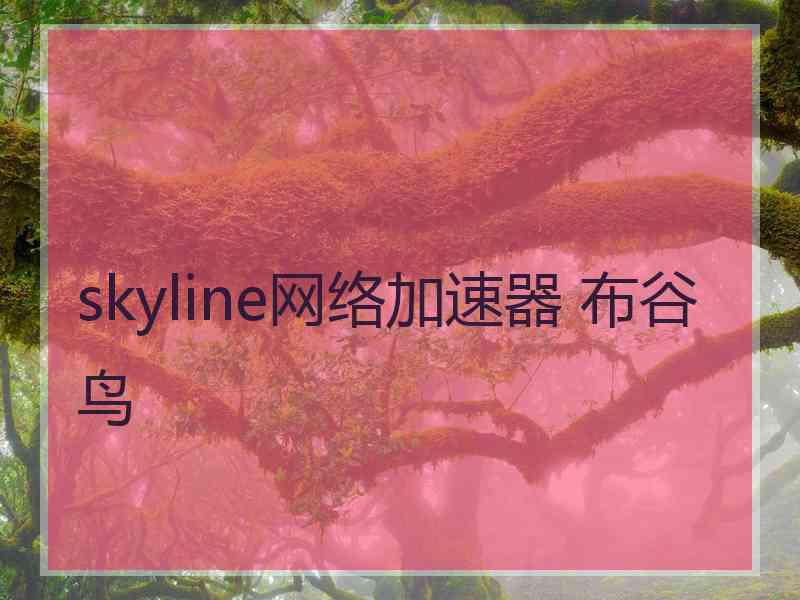 skyline网络加速器 布谷鸟