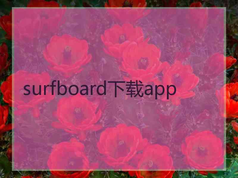 surfboard下载app