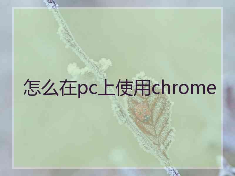 怎么在pc上使用chrome