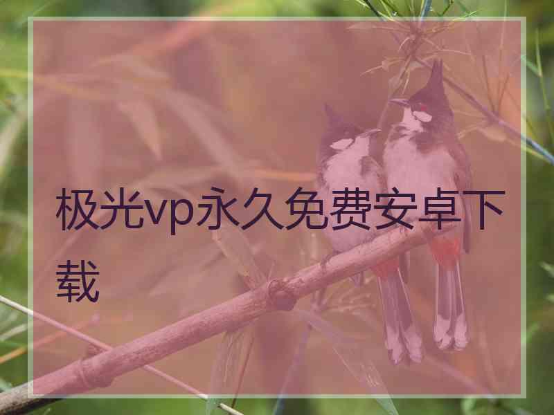 极光vp永久免费安卓下载