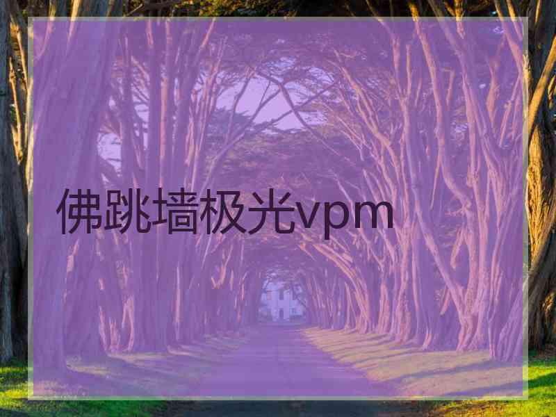 佛跳墙极光vpm