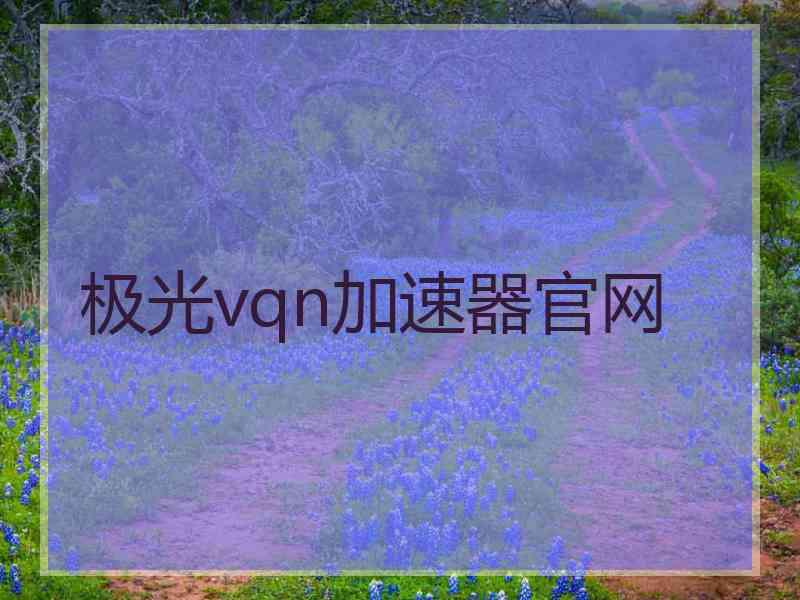 极光vqn加速器官网