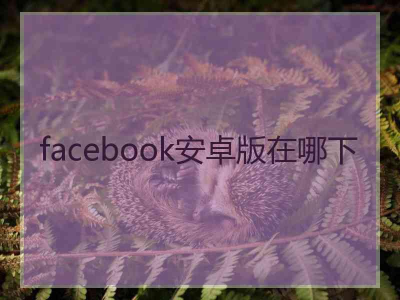 facebook安卓版在哪下