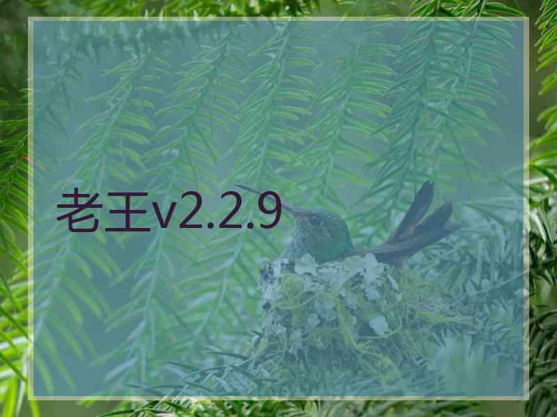 老王v2.2.9