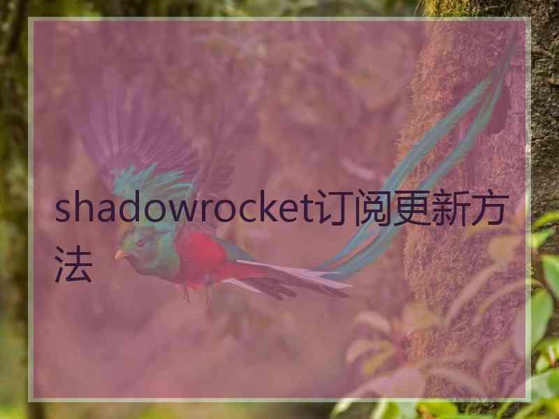 shadowrocket订阅更新方法