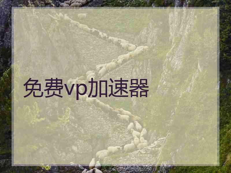 免费vp加速器