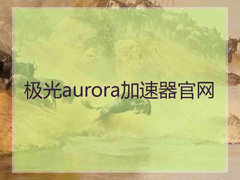 极光aurora加速器官网