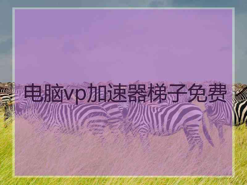 电脑vp加速器梯子免费